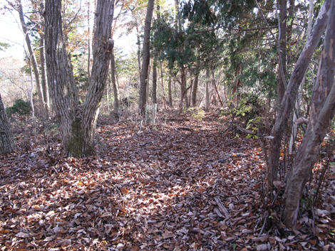 20181115hike (236)